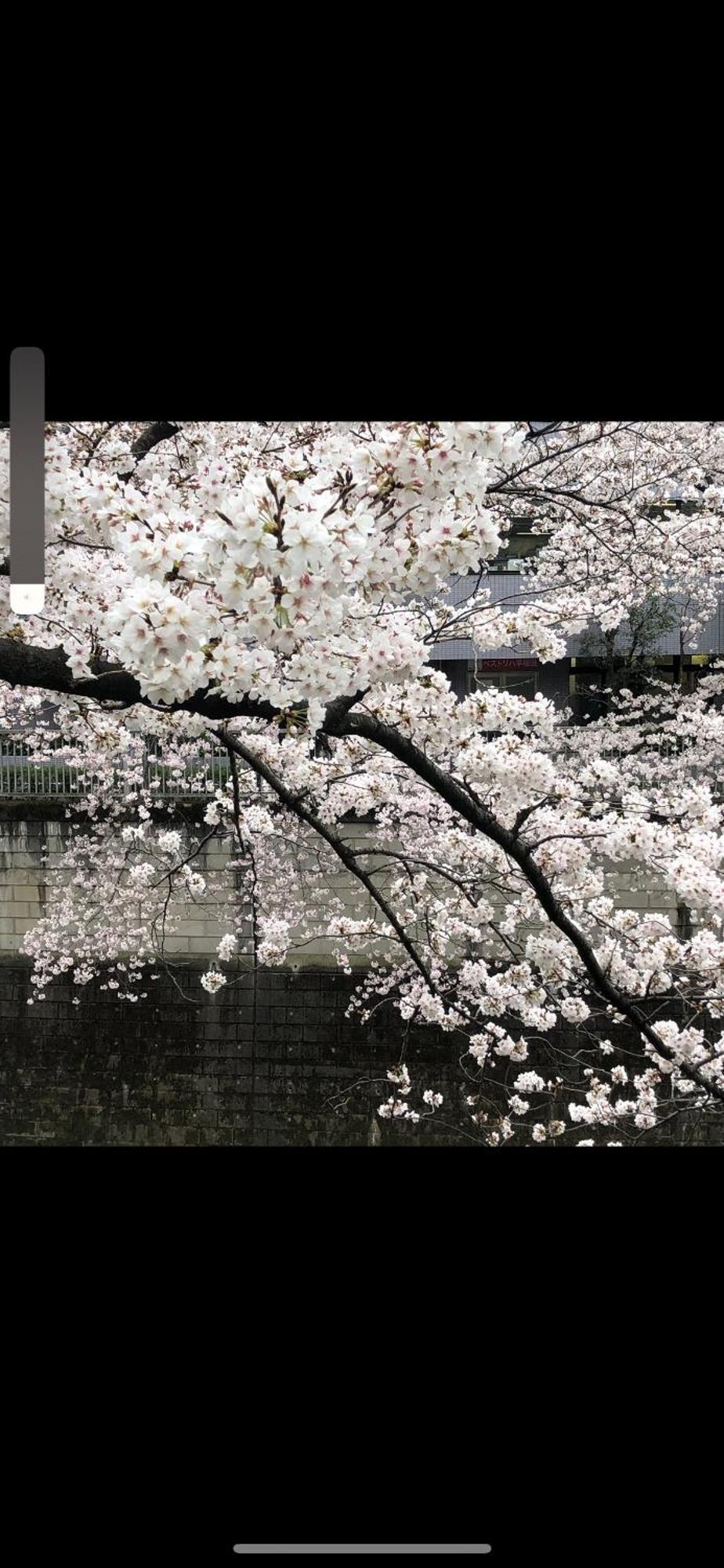 新宿安靜の家-A Quiet Home In Shinjuku - A 26 Square Meter Double Bed Room That Feels Like Home Tokyo Luaran gambar
