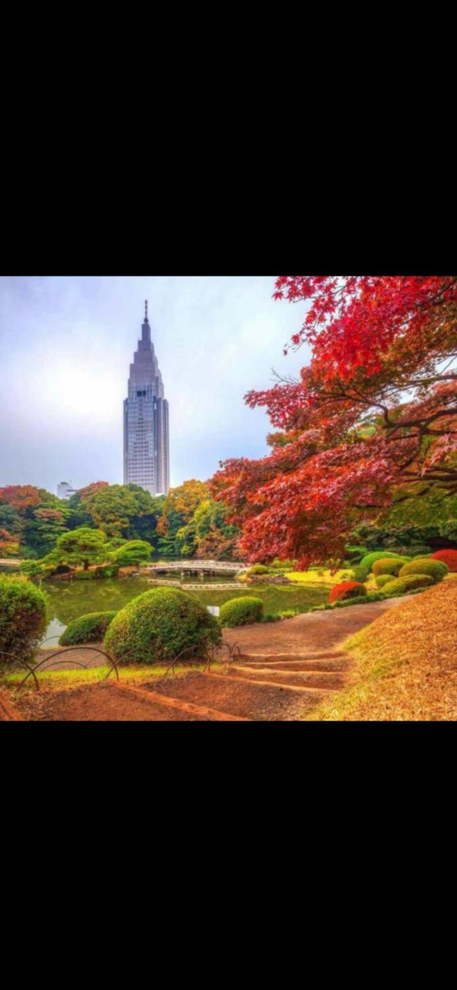 新宿安靜の家-A Quiet Home In Shinjuku - A 26 Square Meter Double Bed Room That Feels Like Home Tokyo Luaran gambar