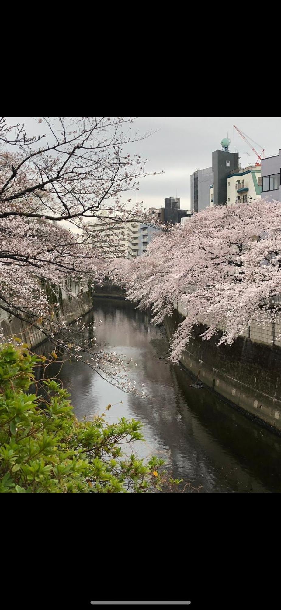 新宿安靜の家-A Quiet Home In Shinjuku - A 26 Square Meter Double Bed Room That Feels Like Home Tokyo Luaran gambar